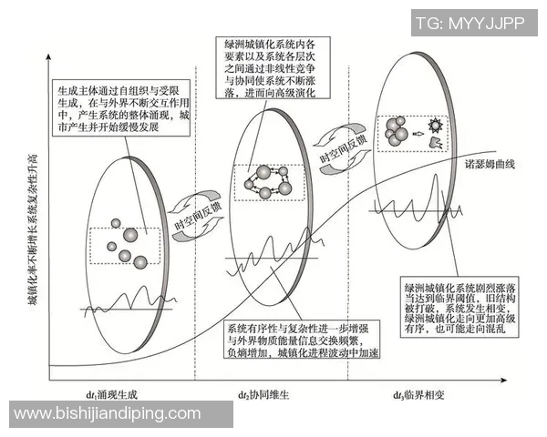 越南足球明星的崛起与成就探讨及其在国际赛场上的影响力分析