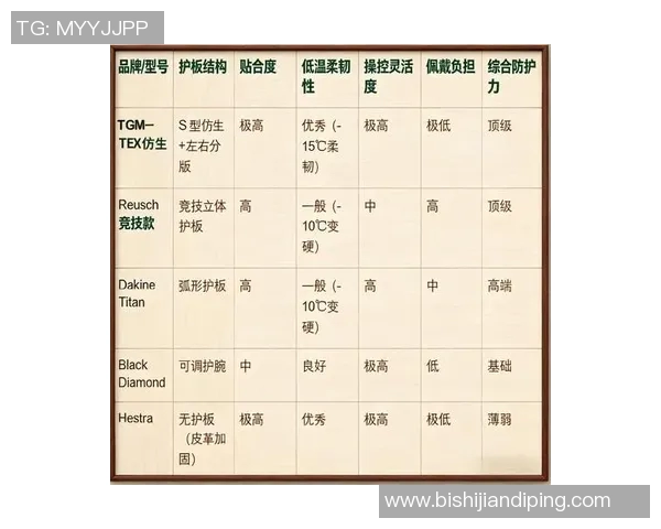 2023年最受欢迎的体育护具品牌排行榜及推荐分析